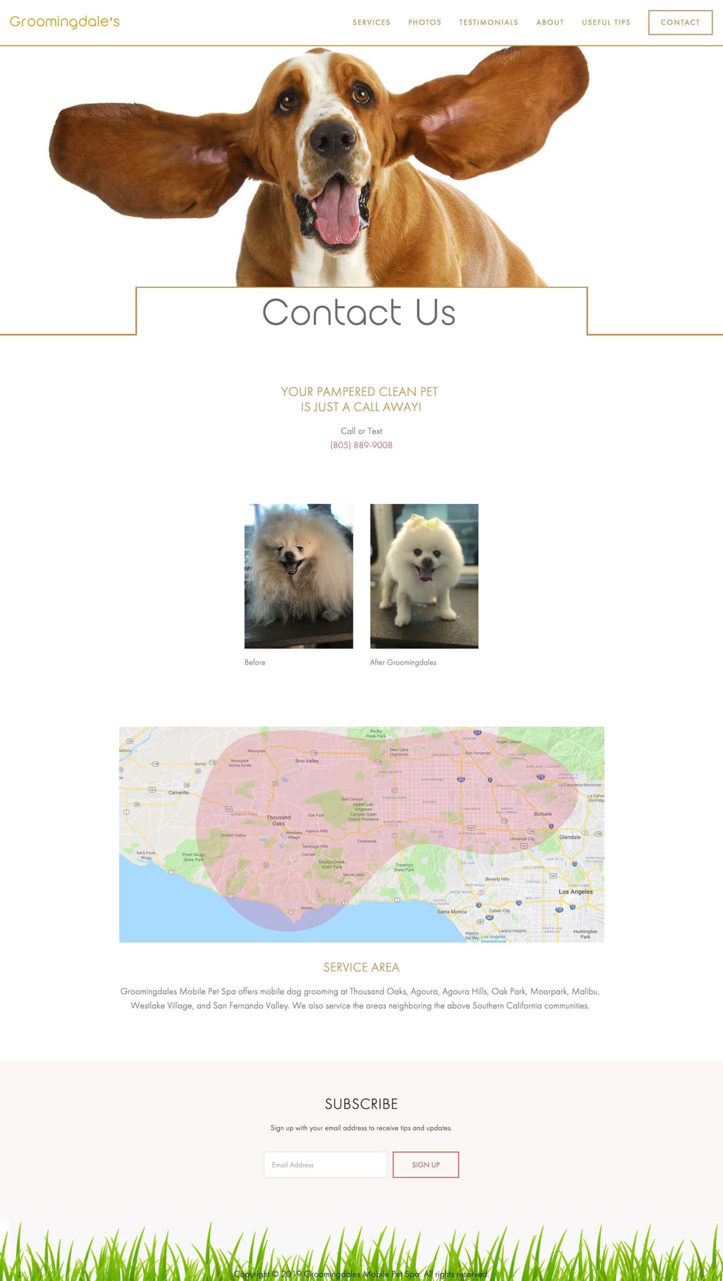 Groomingdales contact page