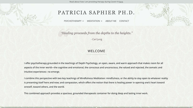 Patricia Saphier, Ph.D. Home page