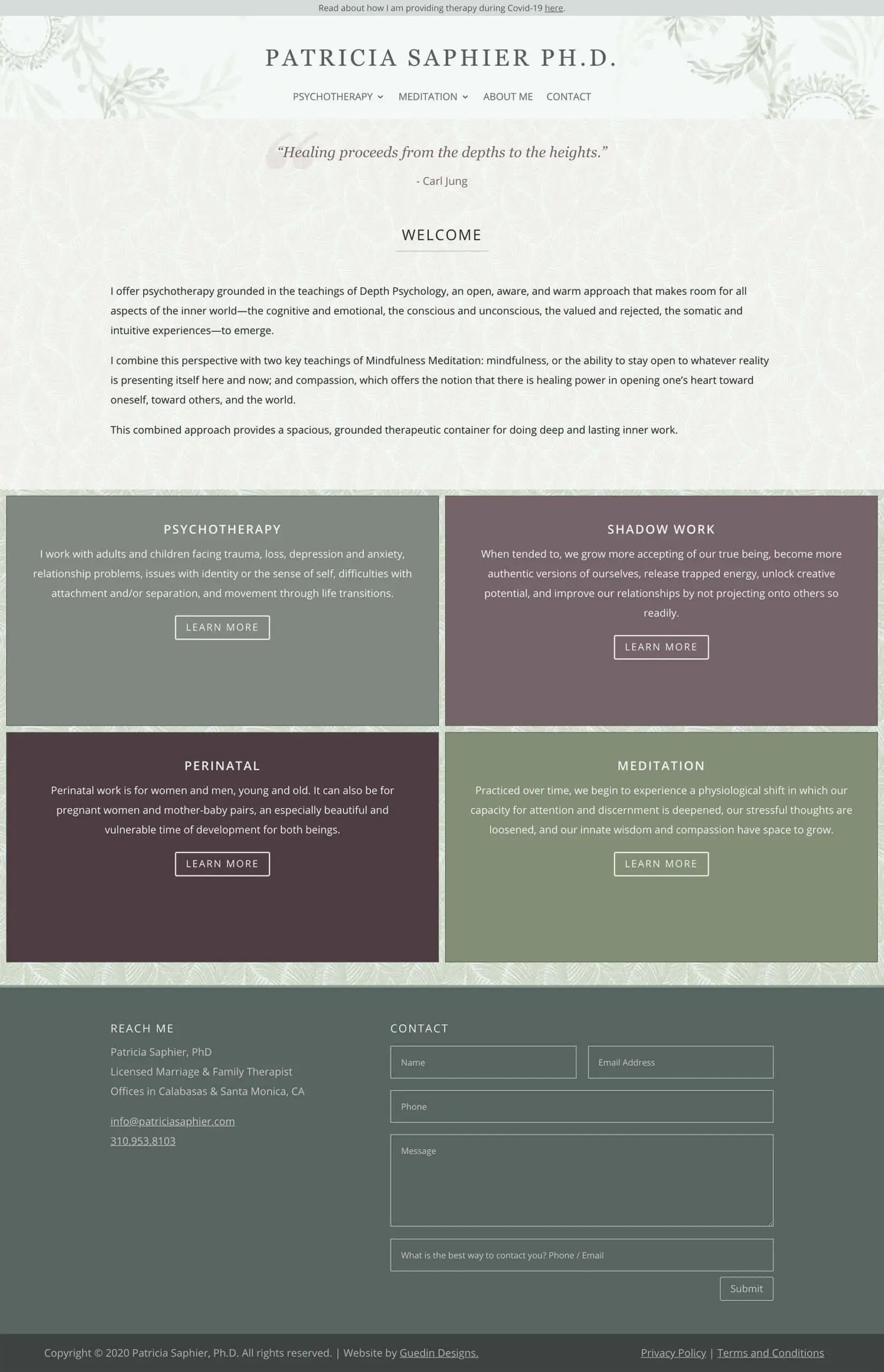 Patricia Saphier home page design.